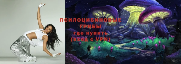 стафф Корсаков