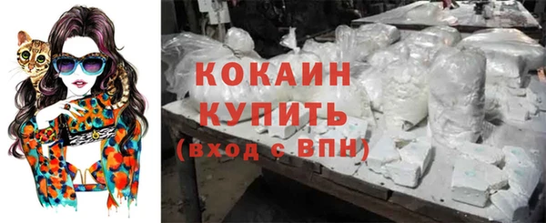 мяу мяу мука Кодинск