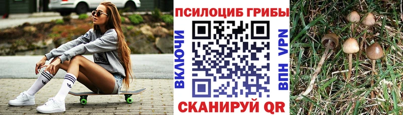 цены   Кировград  Псилоцибиновые грибы мухоморы 